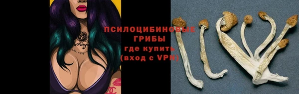 ECSTASY Зеленодольск