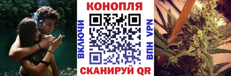 Канабис конопля  Кимовск 